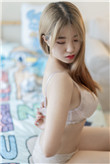 半壶纱