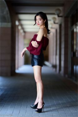 因为会长大人是未婚夫