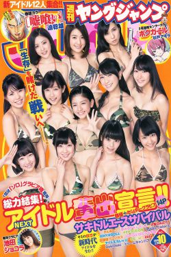 四大名捕小说