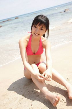 陈宝连